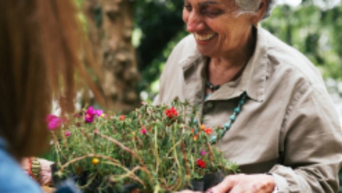 Environmental Impact