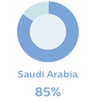 Saudi Arabia 85%